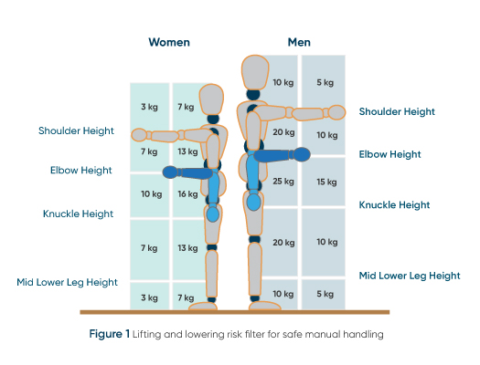Manual handling lifting and Lowering risk filter for safe manual handling
