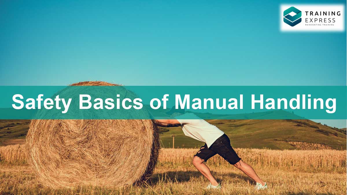 Safety Basics of Manual Handling for Workplace Safety