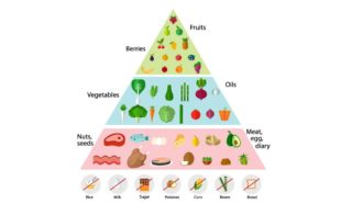 Keto Diet For Beginners – Download Free Meal Plan – Training Express