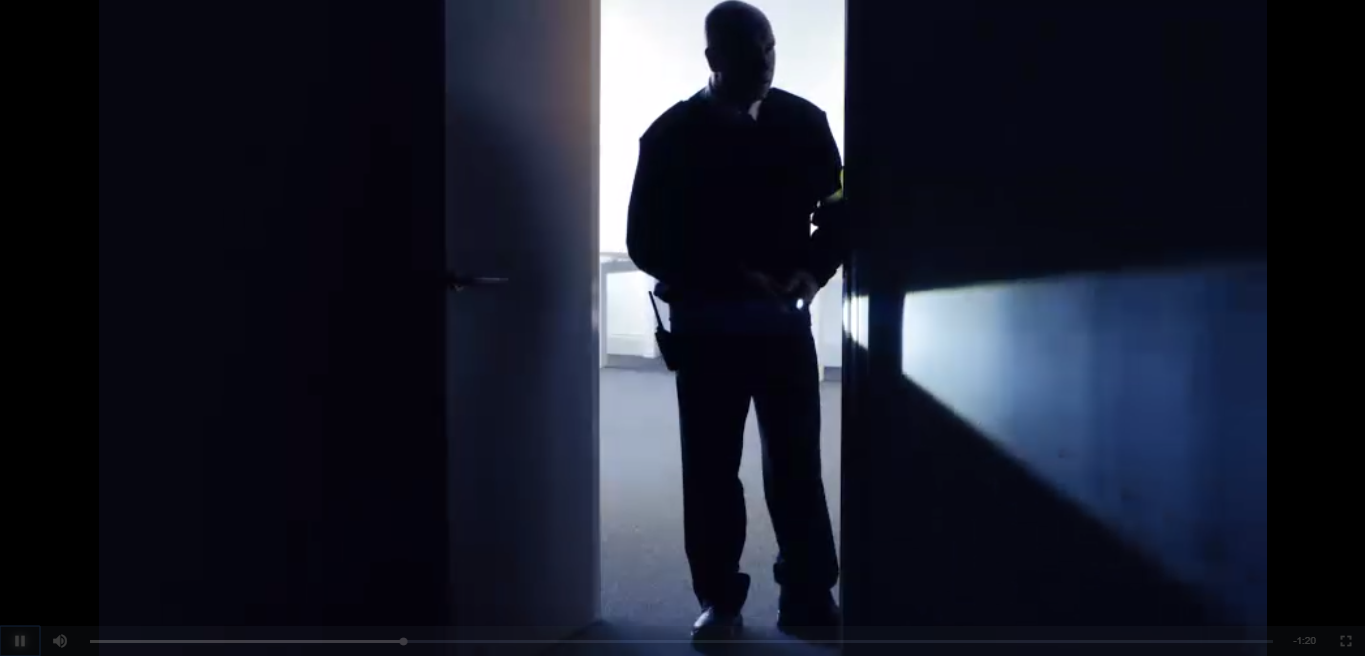 Working within the Private Security Industry | Online Course