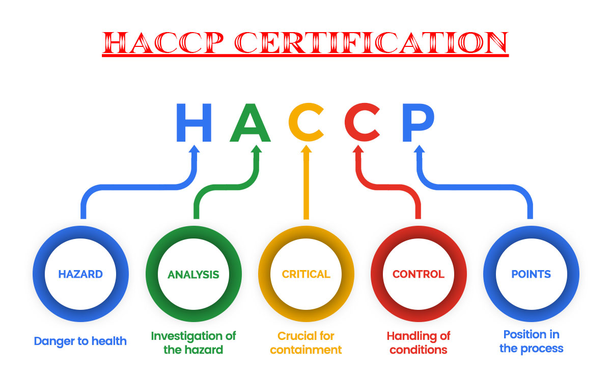 Importance Of Haccp Certification How Can It Help In A Food Business