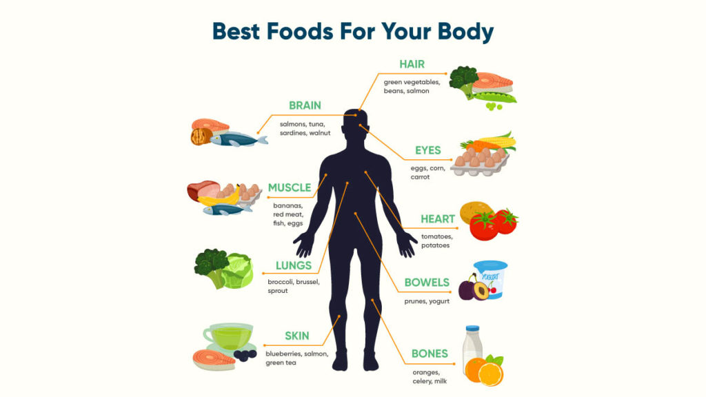 Best Food For Your Body