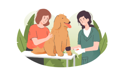 Pet First Aid and CPR Course