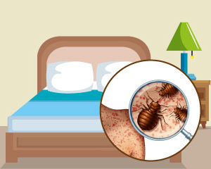 The Bed Bug Problem Online Course