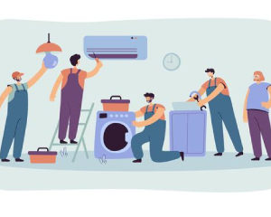 Handyperson - Essential Skills