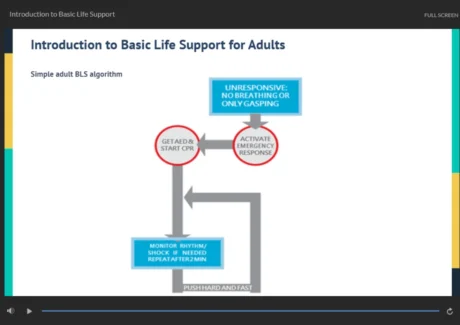 Sneak Peek of Basic Life Support and CPR