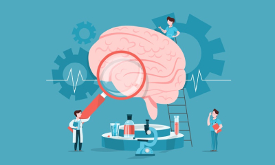 Brain – Injuries & Concussion