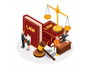 International Law (Criminal Law, Commercial Law, Environmental Law & More!)