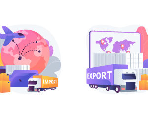 Import/Export