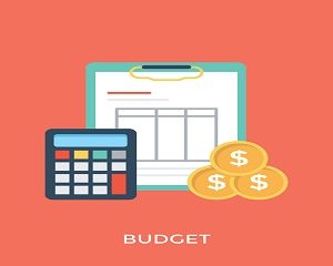 Budget & Forecast