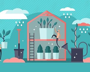Plant Nursery