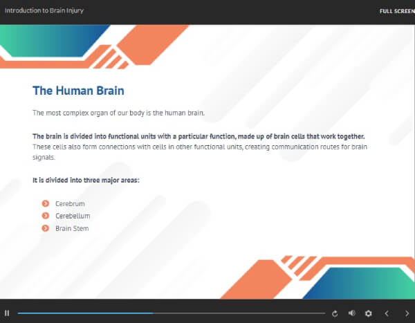Brain: Injuries & Concussion | Online Course & Certification