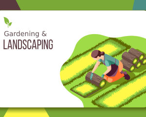 Gardening and Landscaping