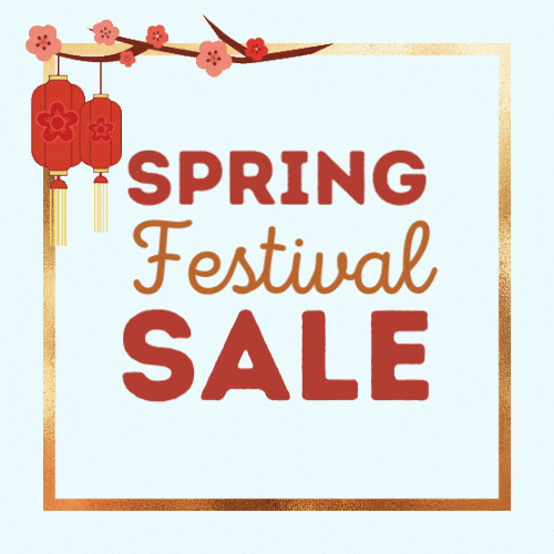 Spring Festival Sale – Training Express
