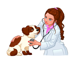Dog Care