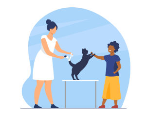 Pet First Aid