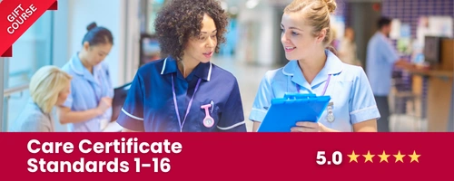 Care Certificates Standards