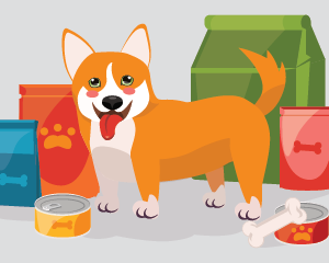 Dog Nutrition