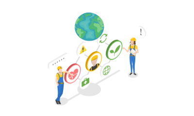 Structure and Overview of the Health and Social Care Sector (1)