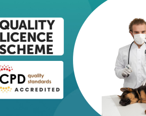 Certificate in Dog First Aid at QLS Level 3