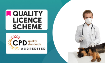 Certificate in Dog First Aid at QLS Level 3