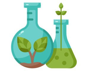 Environmental Science Essentials
