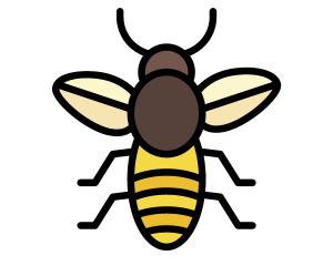 Entomology: Insect Studies