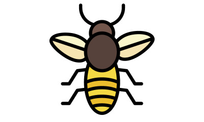 Entomology: Insect Studies