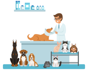 Animal Assisted Therapy Basics