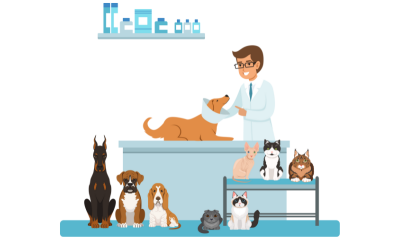 Animal Assisted Therapy Basics