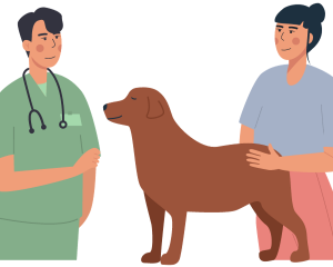 Canine Emergency Care Essentials