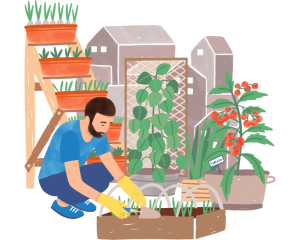 Biodynamic Farming and Gardening Basics