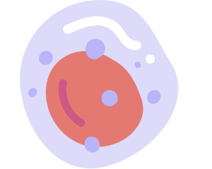 Cell Biology Fundamentals