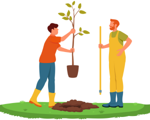 Ethnobotany: Plants and People Connection