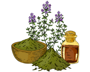 Naturotherapy Essentials