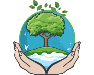 Environmental Impact Assessment Basics