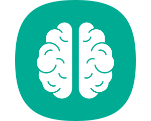 Neuroscience of Learning Basics