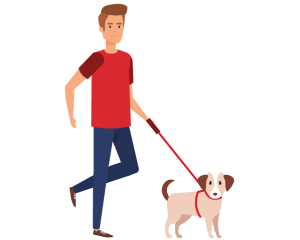 Pet Sitting and Dog Walking