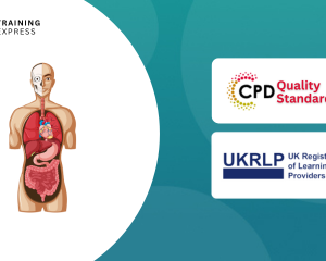 Diploma in Anatomy and Physiology
