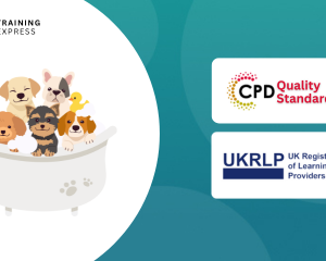 Diploma in Pet Grooming