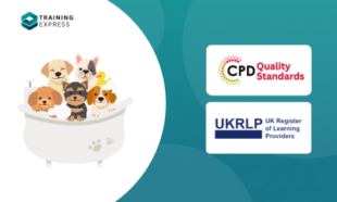 Diploma in Pet Grooming