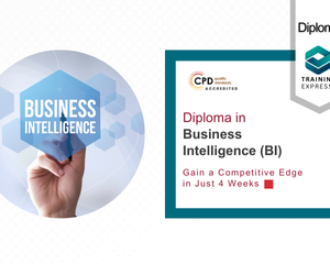 Diploma in Business Intelligence (BI)