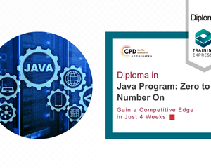 Diploma in Java Program: Zero to Number One