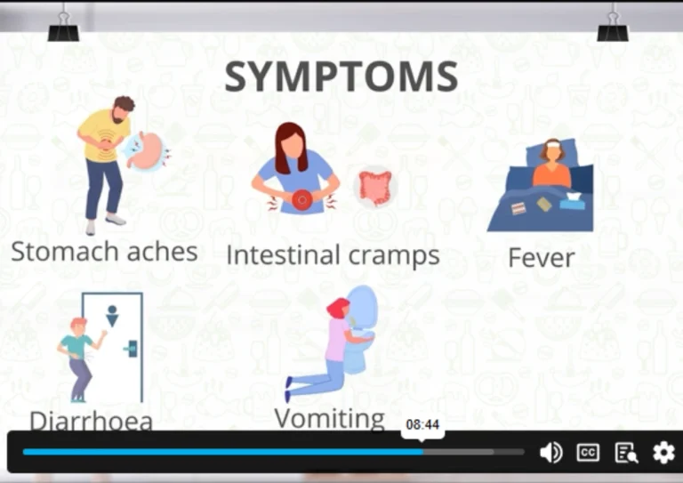 Food Hygiene and Safety Level 1, 2 & 3 Sneak Peek