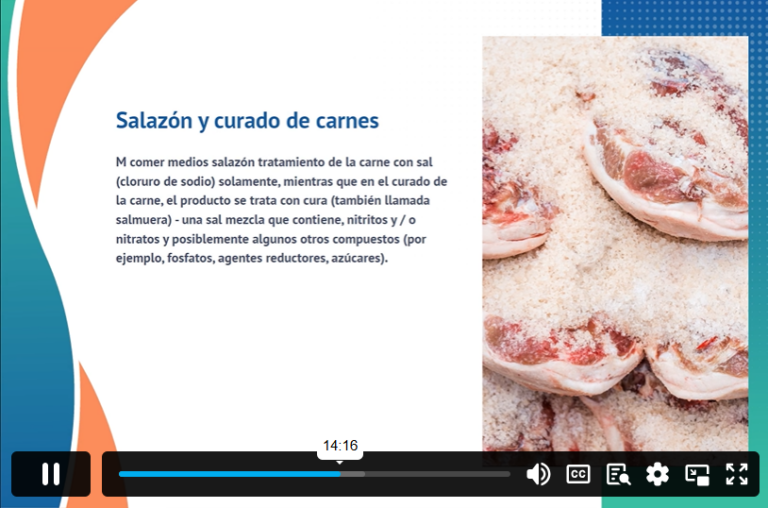 Cooking and Gastronomy (In Spanish)