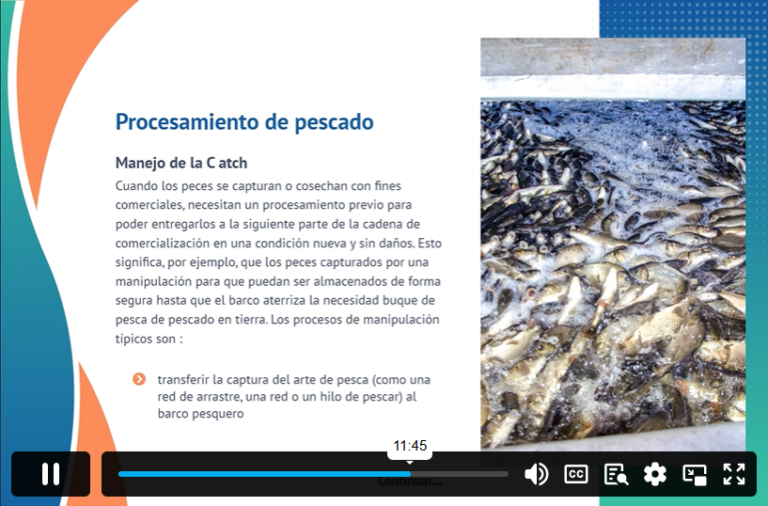 Cooking and Gastronomy (In Spanish)