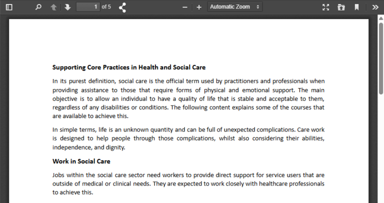 Supporting Core Practice in Health and Social Care