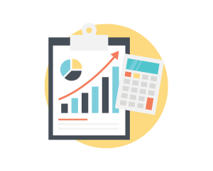 Budgets and Financial Reports (In Spanish)