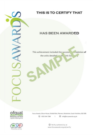 Focus Award Certificate Sample