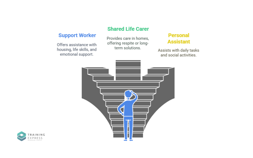 Similar domiciliary care role